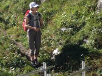 IMG 0598  The goats apparently owned the bridge