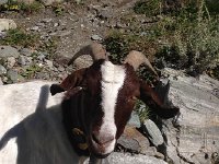 IMG 0599  This is my bridge!