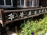 IMG 0608  Edelweiss in wood