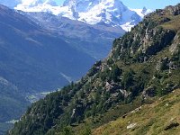 IMG 1319  Gornergrat in the distance with Breithorn, etc.