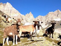 IMG 2481  and the ladies