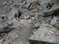 DSC01075  Someone went crazy with the trail blazes!