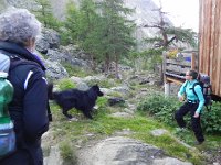 DSCN2328  Brigitte plays with the hut dog while Christine looks on