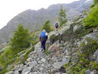 DSCN2332  Approaching treeline