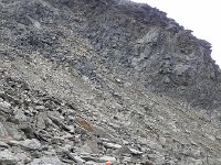 DSCN2352  I think that this is an observation well, part of research project on permafrost