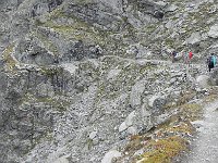 DSCN2356  Luckily there was a trail!