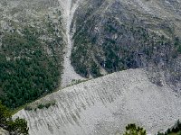 DSCN2372  Natural sculpture