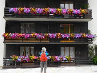 DSCN2128  One of the most stunning window box displays ever!