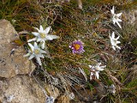 DSC00962  that Brigitte remembered from a previous hike.