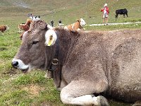 IMG 0568  that speaks!