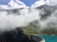 IMG 1346  Fireweed and the dam