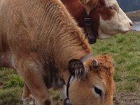 IMG 2406  Yummy salt