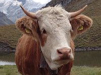 IMG 2407  Such eyelashes!