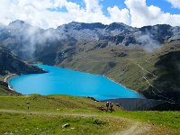 IMG 5264  A stunning color!