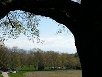 20140415 115635  Sidewalk in front of La Banane