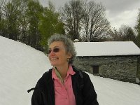 DSCN1298  We were surprised when it started snowing in the valley bottom in Valais!