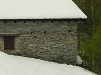 DSCN1300  The vegetation has greened up,