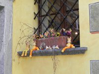 DSCN1338  Bionic Bunny?