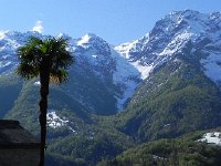 DSCN1342  A strange combination