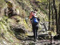 DSCN1353  It generally follows the contour, even though it climbs and drops a bit