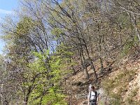 DSCN1358  Nico and the budding forest