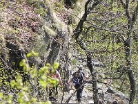 DSCN1369  Christine leading the troop