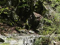 DSCN1370  The paths were very nice