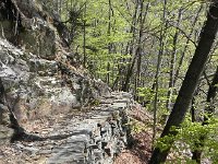 DSCN1371  Probably old pack trails