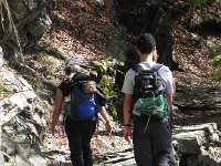 DSCN1373  Trail detail