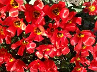 20140413 161312  The visual appeal is nearly tactile