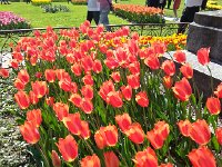 20140413 161634  The colors sometimes vibrate.