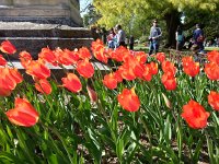 20140413 161644  and you can see the breeze!