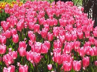 20140413 161714  Color transmitted vs color reflected