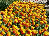 20140413 161736  Some color combinations are startling