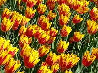 20140413 161747  They approach abstraction