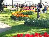 20140413 162041  Many strollers and children