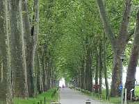 20140807 141350  I took a walk to avoid falling asleep at my desk