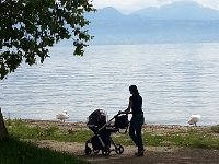 20140807 142042  This could be Vivi!