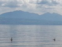 20140807 142143  Hard not to laugh!