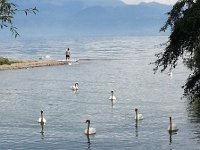 20140807 142640  Sailing into port