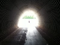 20140810 183549  CP passing into the light.