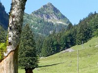 DSCN1903  Goats and Dent de Jaman