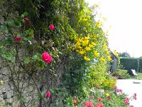 DSCN1948  Garden wall