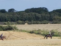 DSCN1983  Horse country