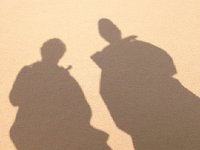 IMG 0459  Their shadows