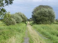 DSCN2022  The rain passed quickly and we strolled through the marais