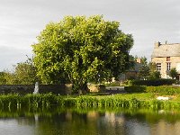 DSCN2030  Village scape