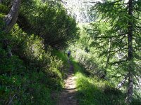 DSCN2055  The trail was easy walking!