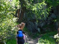 DSCN2057  and protected from the sun.