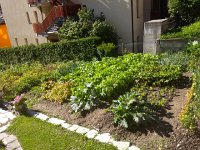 IMG 0532  put ours in Vaud..